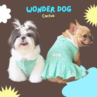 ชุดเก็บขน wonder dog เสื้อหมา เสื้อแมว ชุดกันขนร่วงสุนัข ชุดกระโปรง Cactus