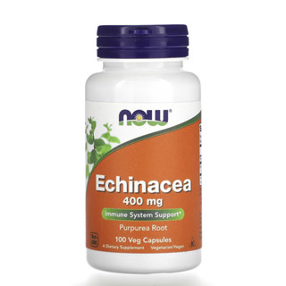 Echinacea อิชิเนเซีย 400 mg, 100 Veg Capsules, NOW Foods ระบบภูมิคุ้มกัน ลดอักเสบ ติดเชื้อ