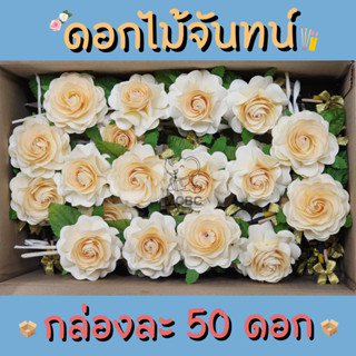 ดอกไม้จันทน์ กุหลาบทิพย์ ดอกเดี่ยว 50 ดอก สี ครีม เหลือง ม่วงอ่อน พร้อมส่ง