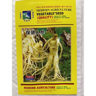 เมล็ดพันธุ์ โสมคน โสมเกาหลี ( Ginseng , Asian ginseng Seed )