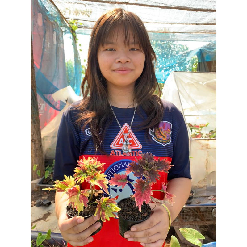 ขอบคุณลูกค้า ฤๅษีผสมซื้อ 1 แถม1 ฟรี ปลูกเลี้ยงง่าย ชอบวัสดุปลูกที่โปร่ง ร่วนซุย ระบายน้ำและอากาศได้ดี
