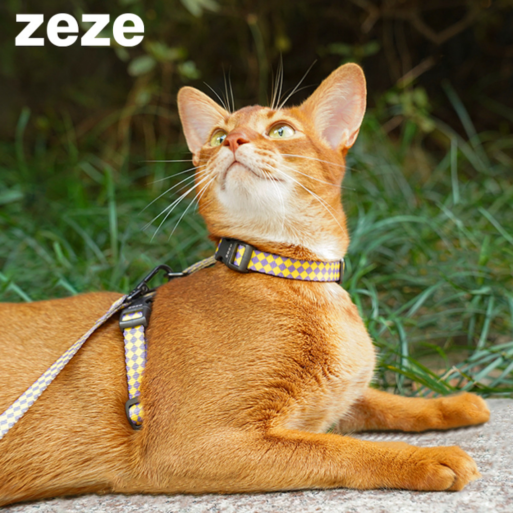 พร้อมส่ง❤️ zeze สายจูงแมว สัตว์เลี้ยง