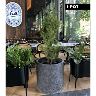 I-POT กระถางต้นไม้หินขัดไฟเบอร์กลาสน้ำหนักเบาดีไซน์โมเดิร์น(ไฟเบอร์เทอร์ราซโซ) ทิ้วบ์ TUBE ขนาด 56*56*58 ซม.(22นิ้ว)