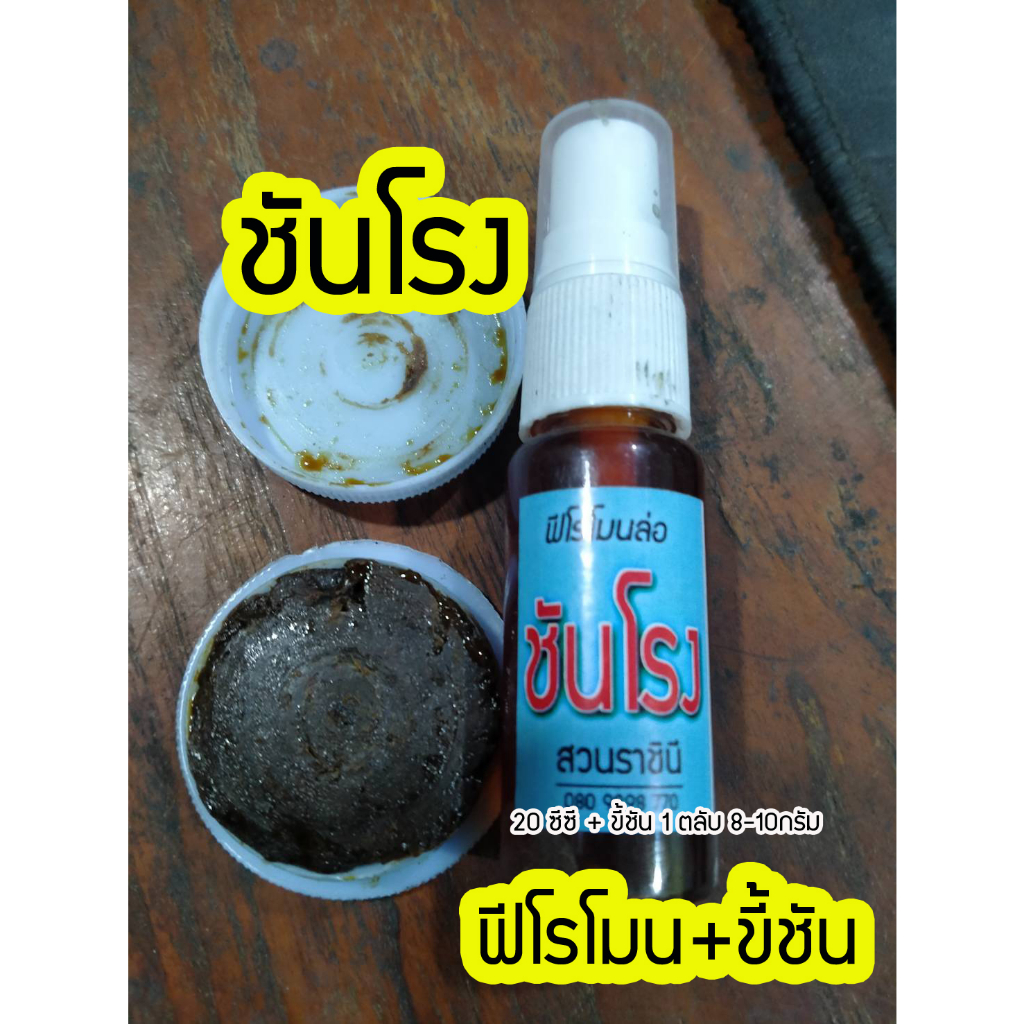 ฟีโรโมนฉีดล่อชันโรง รวมกับขี้ชัน สำหรับล่อชันโรงมาเลี้ยง ขนาด20ซีซี และ 8-10 กรัม เหมาะแก่การล่อ 2-3 กล่อง จบในคลิ๊กเดีย