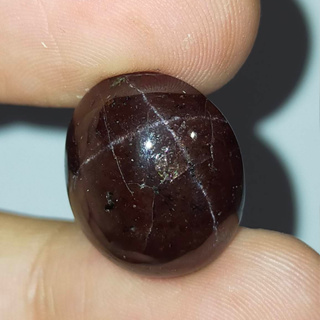 พลอย สตาร์ โรโดไลท์ การ์เนต ดิบ ธรรมชาติ แท้ ( Natural Star Rhodolite Garnet ) หนัก 26.83 กะรัต