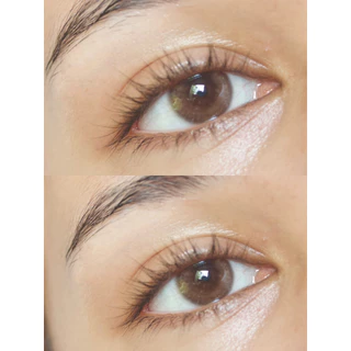 GLITZLENS ARES BROWN [DIA14.0] วัสดุ SILICONE HYDROGEL