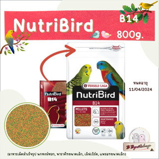 NutriBird B14 800g. อาหารนก อาหารเม็ดสำเร็จรูป นกหงษ์หยก, พาราคีทขนาดเล็ก, เลิฟเบิร์ด, แพรอทขนาดเล็ก Verselelaga