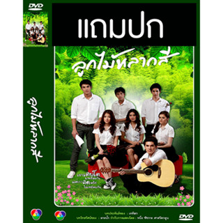 ดีวีดีละครไทยเก่า ลูกไม้หลากสี (ปี 2556) (โตนนท์ วงศ์บุญ - ใบเฟิร์น พิมพ์ชนก) (แถมปก)