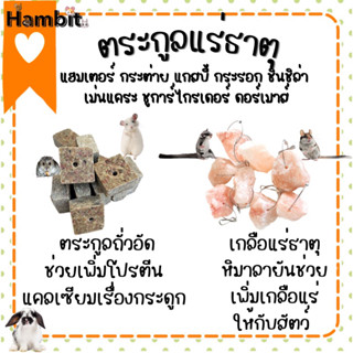 Hambit. แร่ธาตุสำหรับสัตว์ ถั่วอัดเม็ดสำหรับลับฟัน ลับฟันแฮมเตอร์ ขนมกระต่าย กระรอก ชินชิล่า