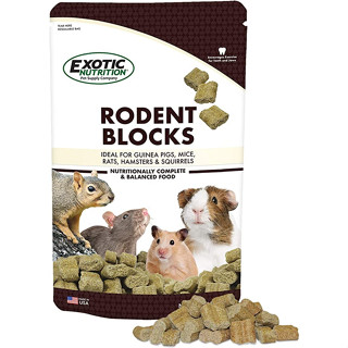 RANDOLPH แรนดอล์ฟ-Exotic Nutrition Rodent Blocks 1 LB