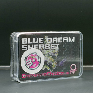 Blue Dream Sherbet - Growers Choice