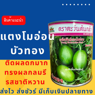 (ของแท้ ส่งไว) แตงโมอ่อนบัวทอง 250 กรัม