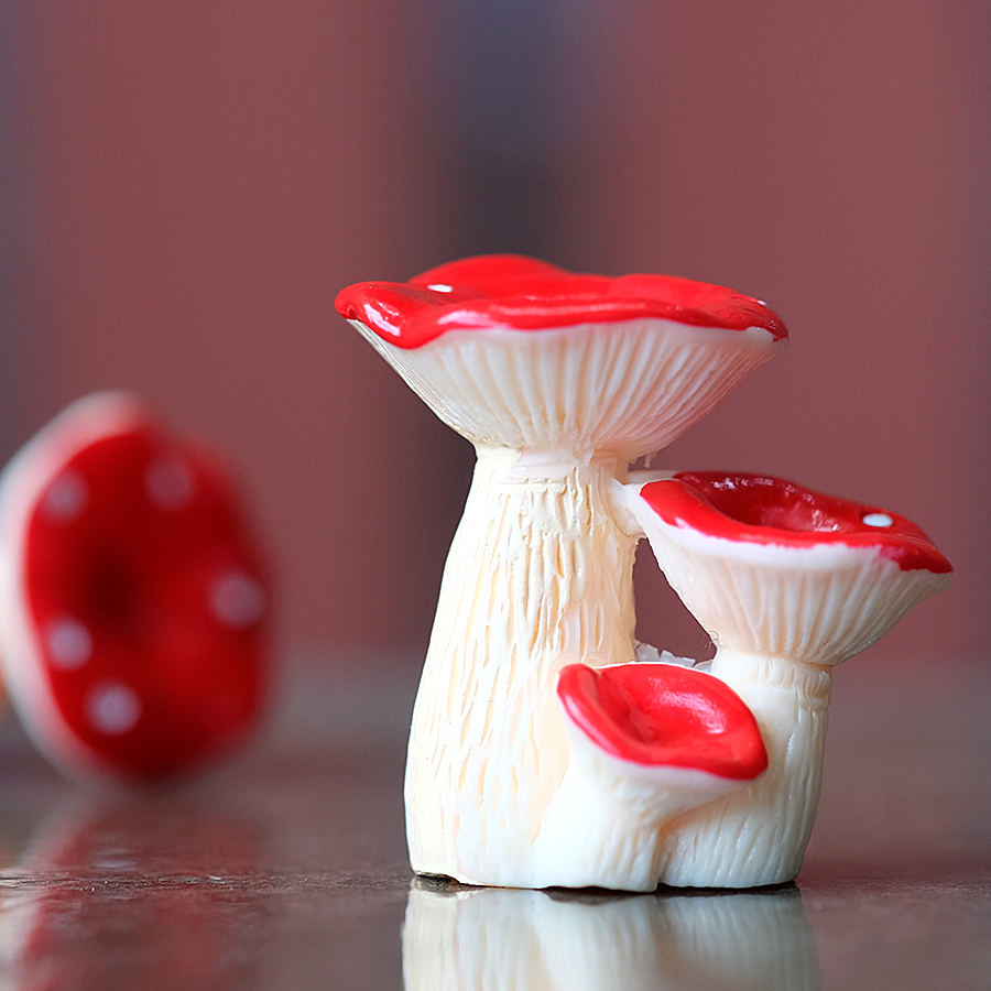 เห็ดจิ๋วสำหรับตกแต่งสวนขนาดเล็ก (#I)