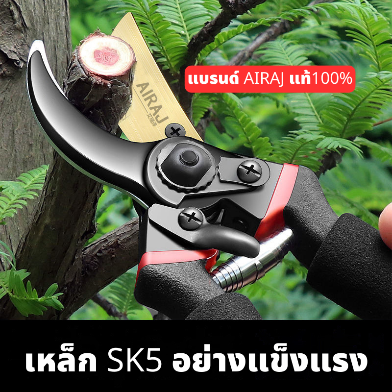 AIRAJ กรรไกรตัดกิ่งไม้ กรรไกรตัดกิ่ง 10 นิ้ว