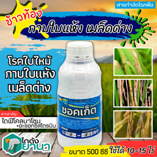 🌾 ซอคเก็ต (ไดฟีโนโคนาโซล+อะซอกซีสโตรบิน) ขนาด 500ซีซี ป้องกันเชื้อรา โรคเมล็ดด่างในนาข้าว