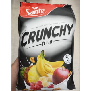 Sante Crunchy Fruit ธัญพืช อบกรอบผสมผลไม้ อบแห้ง  350g ราคาพิเศษ