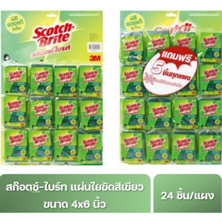 สก๊อตช์-ไบร์ท แผ่นใยขัดพร้อมฟองน้ำเล็ก ขนาด 3x4 นิ้ว 24 ชิ้น/แผง แถม 5 ชิ้น