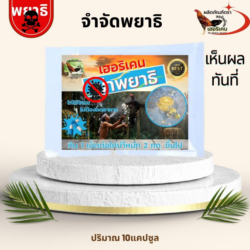 ไก่ชนที่มีพยาธิ ตัวกลม ตัวแบน ไข่พยาธิ สะอาดหมดจด ไม่ต้องอดอาหาร