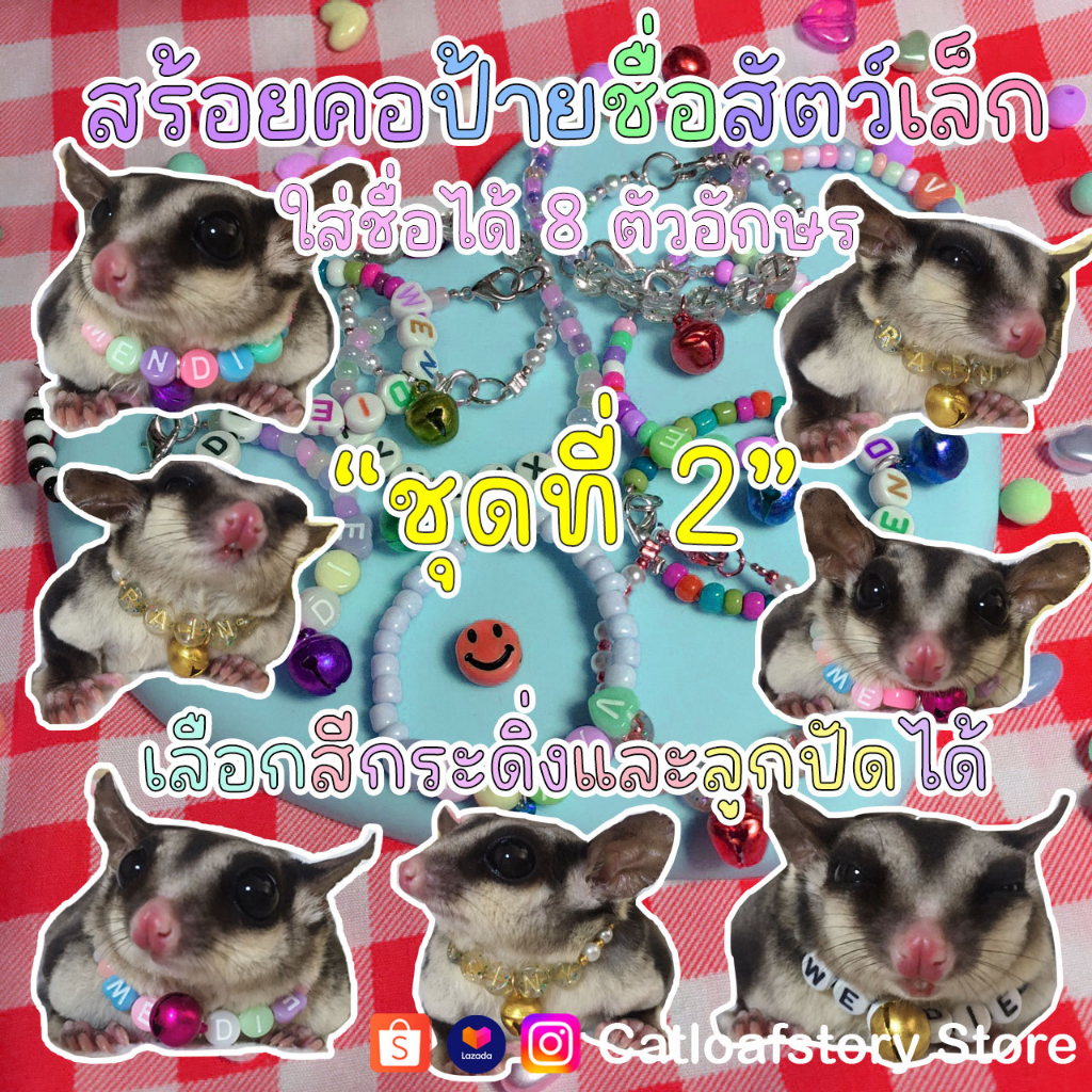 (ชุดที่ 2)🐹[ตัวเลข/ตัวอักษร]🐰สร้อยคอป้ายชื่อสัตว์เล็ก กระรอก นก หนู ลูกแมว ใส่ได้ 8 ตัว 🎥 กดผ่าน Shopee video ลด 40%