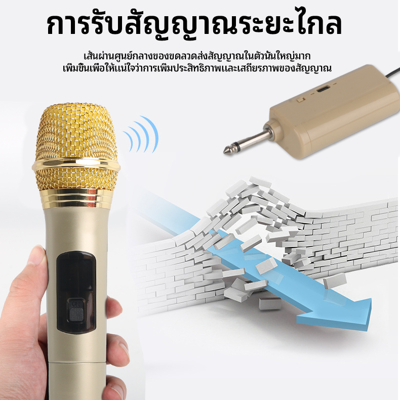 RAYHAYES ไมโครโฟนไร้สาย Original Dual Handheld Professional ไมโครโฟนคาราโอเกะพร้อมตัวรับสัญญาณ