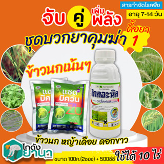 🌾 ชุดบวกยาคุม1 โกลอะนิล+แซดบีควิน ขนาด 500ซีซี+100กรัมx2ซอง กำจัดหญ้าข้าวนก หญ้าเดือย หญ้าดอกขาว