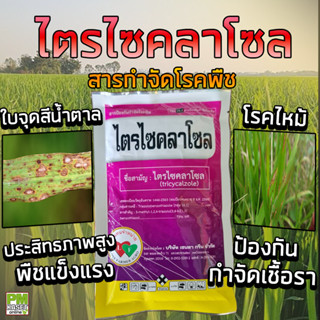 ไตรไซคลาโซล tricycalzole สารป้องกันกำจัดโรคพืช โรคเชื่อรา โรคใบไหม้ ขนาด 100 กรัม