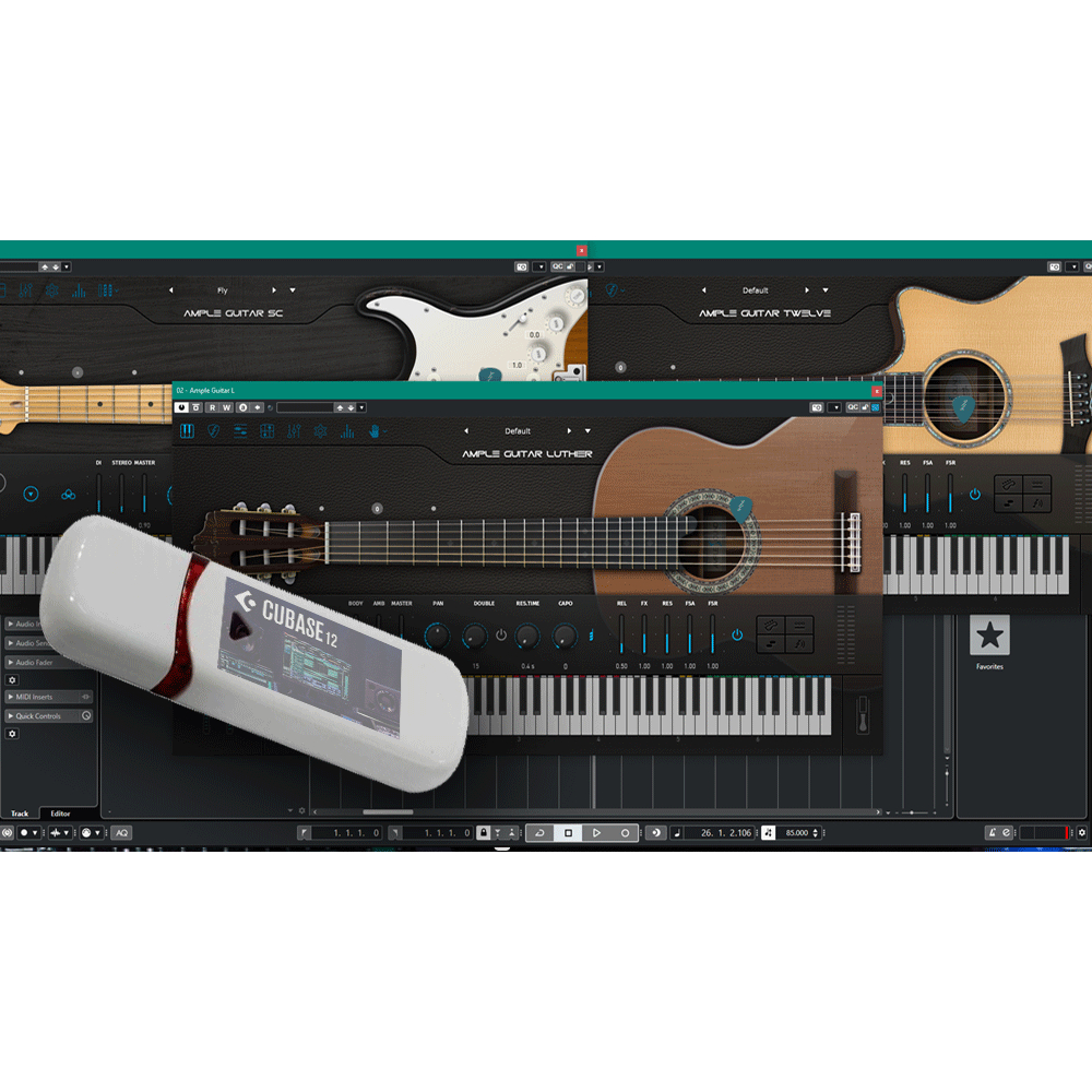 สุดยอดปลั๊กอินกีตาร์ 3 สไตล์ ที่คนทำเพลงต้องมี Guitar SC/Guitar L/Guitar TW ฟรี Steinberg Cubase 12 