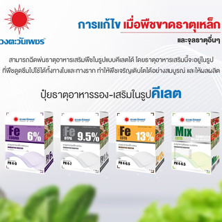 ปุ๋ย ธาตุรอง ธาตุเสริม จุลธาตุรวม คีเลต EDTA เหล็กคีเลต สังกะสีคีเลต แคลเซียมคีเลต เเมงกานีสคีเลต(ชนิดแบ่งขาย)