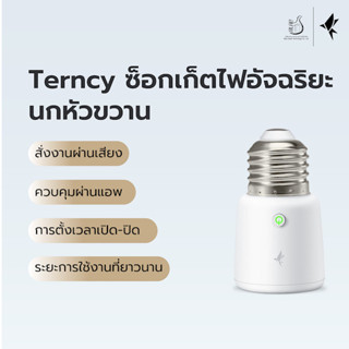 Terncy ซ็อกเก็ตไฟอัจฉริยะ·นกหัวขวาน สั่งงานผ่านเสียง-แอพพลิเคชั่น/ตั้งเวลาเปิด-ปิด รองรับZigbee ใช้งานคู่กับโฮมเซ็นเตอร์