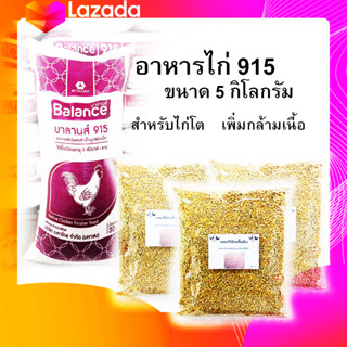 อาหารไก่พื้นเมือง ผสมสำเร็จรูปชนิดเม็ด 915 ขนาด 5 กิโลกรัม สำหรับไก่พื้นเมือง อายุ 3 สัปดาห์-ขาย