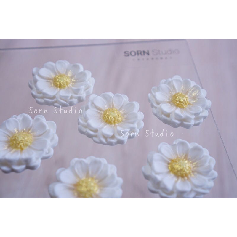 Sorn Studio ฟองดอง "🌼 ดอกเดซี่ 🌼" (5ชิ้น/กล่อง)