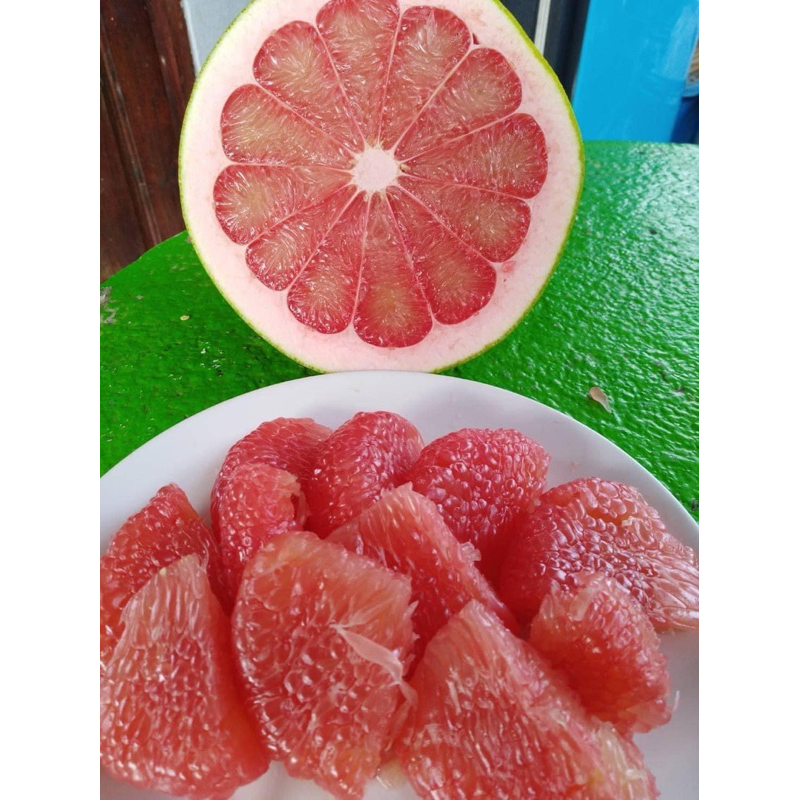 ต้นส้มโอทับทิมสยาม กิ่งเสียบยอด สูง60ซม.พร้อมลงปลูก