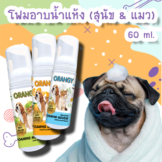 โฟมอาบน้ำแห้ง (สุนัข & แมว) หอมทั้งตัว สะอาด น่ากอด ไม่ต้องใช้น้ำ นวัตกรรมใหม่ 120 ml.