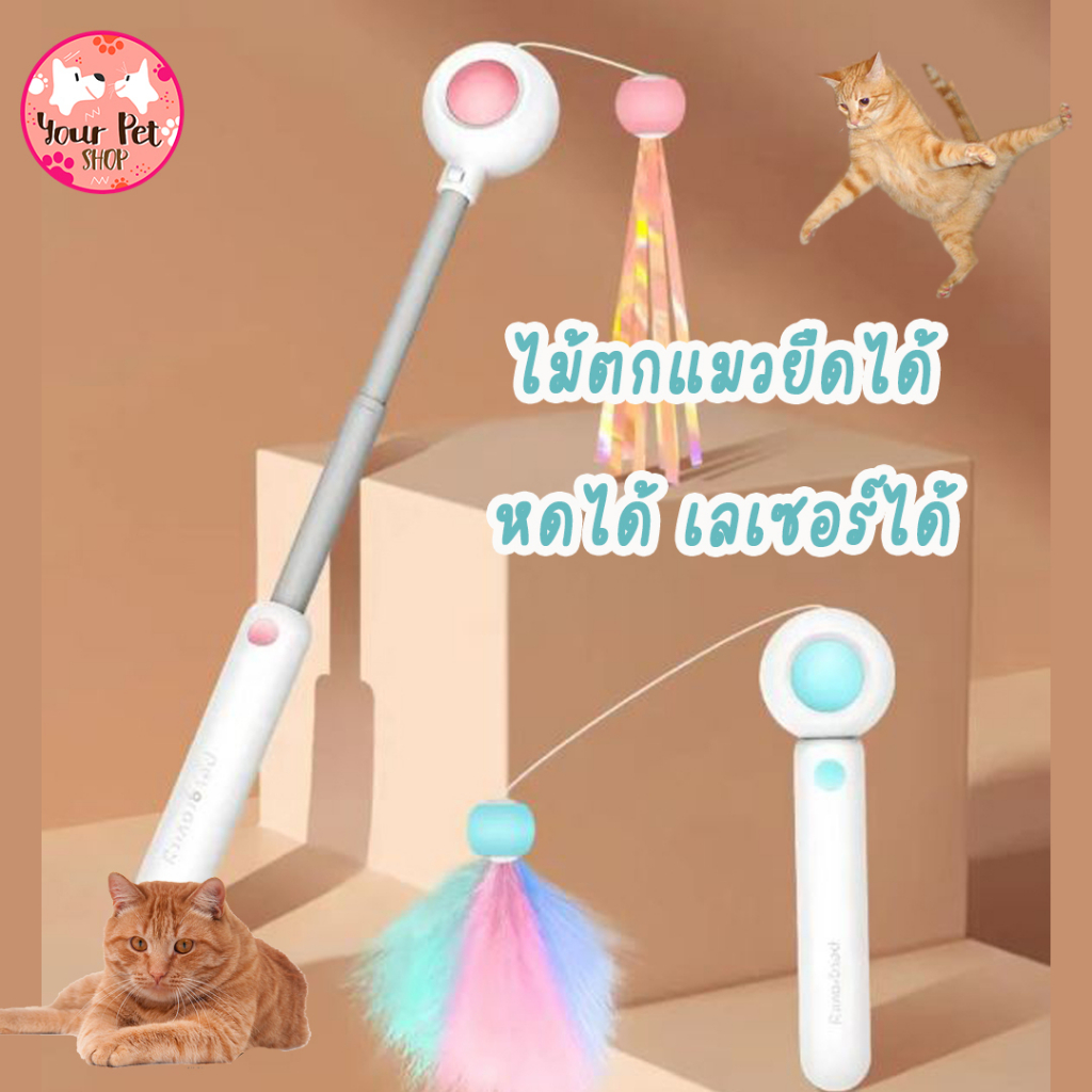 ไม้ตกแมวพร้อมเลเซอร์ ไม้ตกแมว ของเล่นแมว เลเซอร์แมว Cat Stick Laser สก็อตติช โฟลด์ เปอร์เซีย สีสวาด ขาวมณี วิเชียรมาศ
