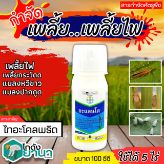 🌾 อะแลนโต (ไทอะโคลพริด) ขนาด 100ซีซี ใช้ในการป้องกันกำจัดเพลี้ยไฟในนาข้าว