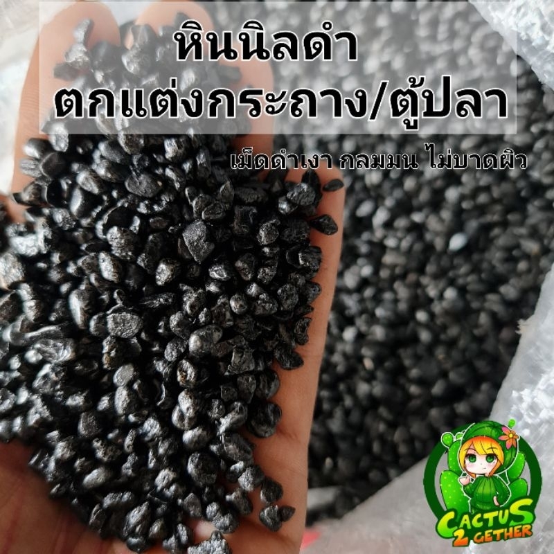 หินนิลดำ/หินกรวดกาแฟดำ/หินย้อมดำ ตกแต่งกระถาง ขนาด3-5mm.
