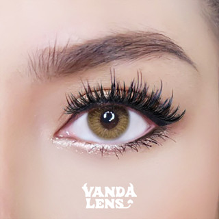 VANDA LENS รุ่น SL BROWN