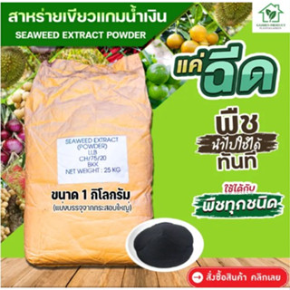 ปุ๋ย สาหร่ายสีเขียวแกมน้ำเงิน Seaweed Extract (ผง) กระตุ้นการออกดอกและแตกยอด บรรจุ 1 kg