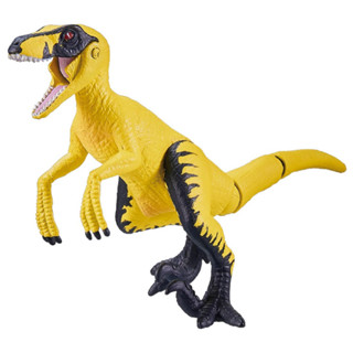 [ส่งตรงจากญี่ปุ่น] Takara Tomy Ania Kingdom Leonie ( Velociraptor ) ญี่ปุ่น ใหม่