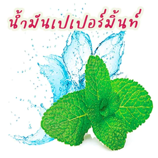 ไล่แมลงวัน​ แมลงหวี่ หนอน มด (ML-500) แมลงสาบ​ แมงมุม​ฯลฯ​ ในถังขยะ ในห้องครัวตัดวงจรแมลง ขนาด500มิล