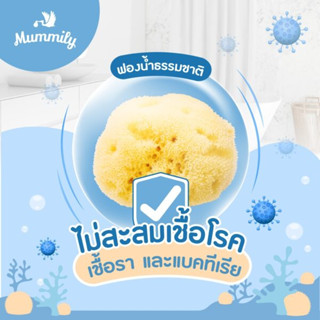 Mummily ฟองน้ำ SILK FINE ฟองน้ำธรรมชาติแท้100% ฟองน้ำอาบน้ำเด็ก