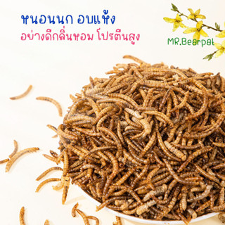 Mealworms หนอนอบแห้ง หนอนนกอบแห้ง แบบคัดไม่มีผุ่น ราคาถูก คุณภาพดี เหมาะ สําหรับเป็นอาหารสัตว์เลี้ยง กลิ่นหอม