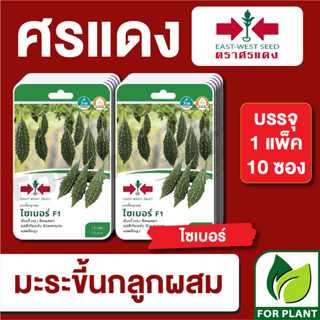 เมล็ดพันธุ์ผัก ผักซอง มะระขี้นก ไซเบอร์ F1 ตราศรแดง บรรจุแพ็คล่ะ 10 ซอง ราคา 230 บาท