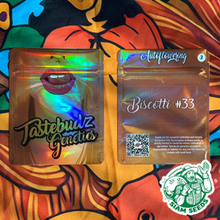 เมล็ดกัญชา Tastebudz Genetics Biscotti 33 Auto Cannabis Seeds (Pack of 3)