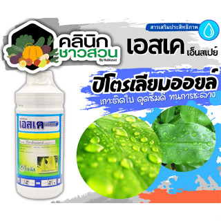 🥬 เอสเค เอ็นสเปรย์ บรรจุ 1ลิตร สารจับใบปิโตเลี่ยมออยล์