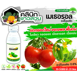 🥬 เมเธอรอล (อะมิโนแอซิด) บรรจุ 500ซีซี แตกยอดใหม่ ขยายผล ฟื้นต้น