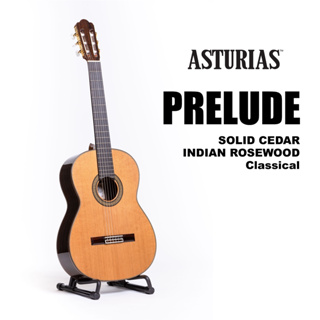 กีตาร์คลาสสิค ASTURIAS รุ่น Prelude C (Cedar / Indian rosewood), Classical Guitar made in Japan