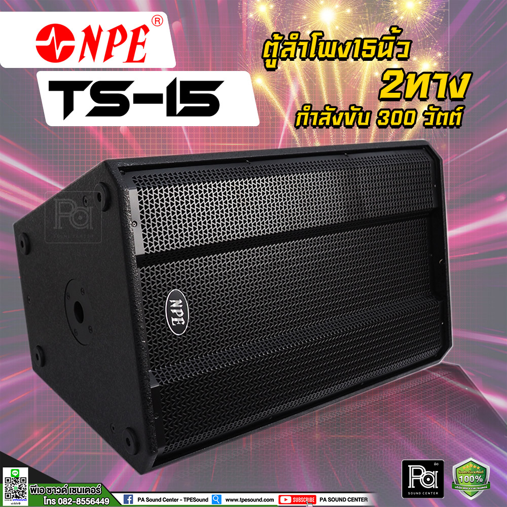 NPE TS-15 ตู้ลำโพง 15 นิ้ว 2 ทาง 300 วัตต์ ตู้ลำโพง15 ตู้ลำโพงไม้แท้ TS 15 ตู้ลำโพง Passive TS15