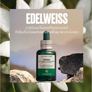 พร้อมส่ง The body shop Edelweiss Daily Serum Concentrate 30ml