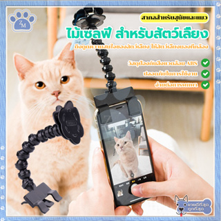 ไม้เซลฟี่ สำหรับสัตว์เลี้ยง นวัตกรรมสำหรับการถ่ายรูปสัตว์เลี้ยง ที่จะได้ภาพมุมคิ้วท์ๆ ของน้องๆ ด้วยตัวคุณเอง ของเล่นแมว